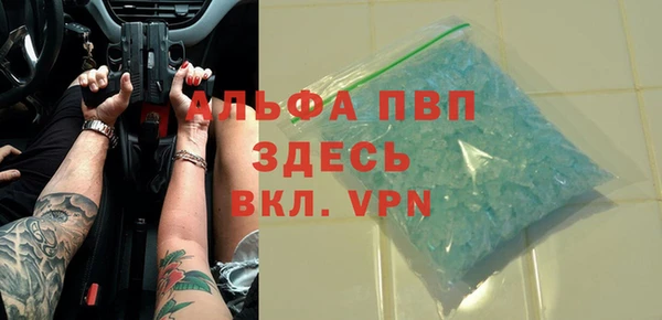 PSILOCYBIN Горняк