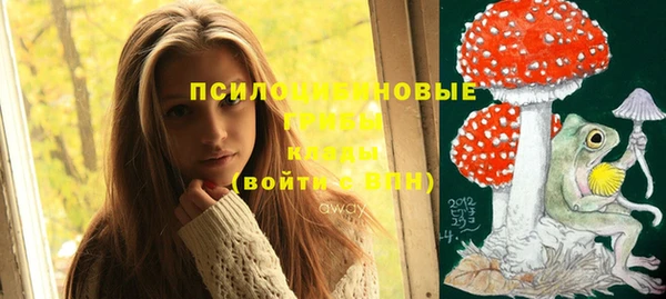 PSILOCYBIN Горняк