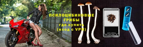 марки nbome Гусь-Хрустальный
