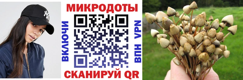 Галлюциногенные грибы GOLDEN TEACHER  хочу наркоту  omg вход  Первомайск 