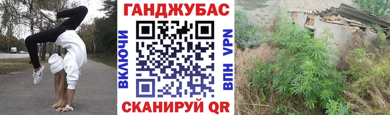 Марихуана Bruce Banner  купить закладку  Первомайск 